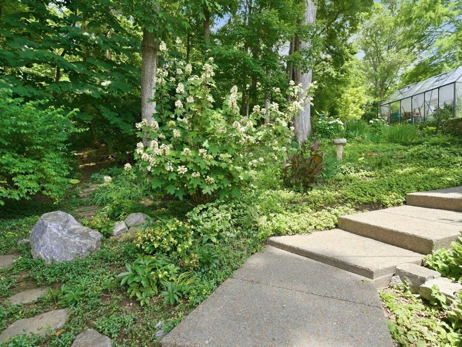Property Image 61
