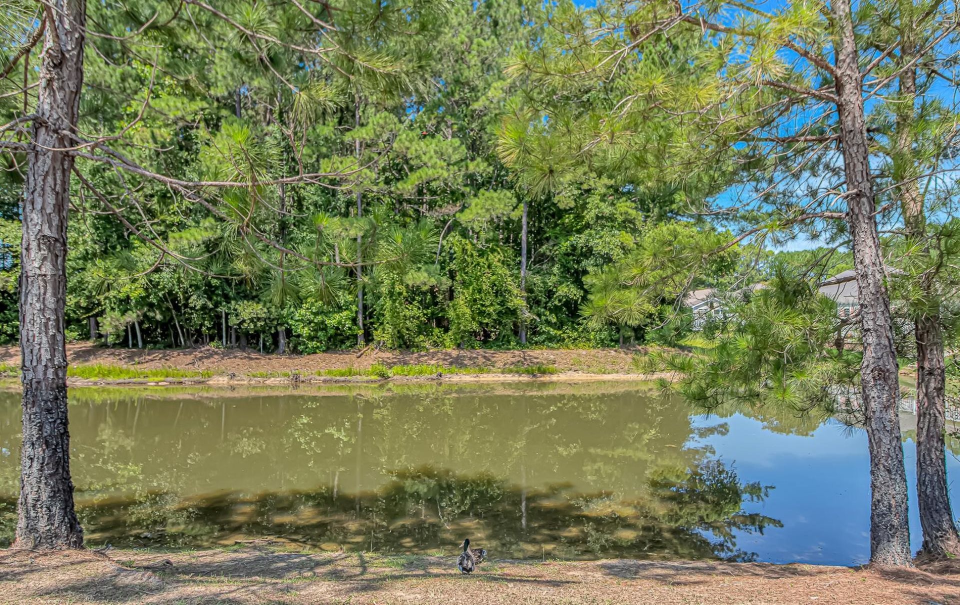 1010 Napa Ct.  Photo 28