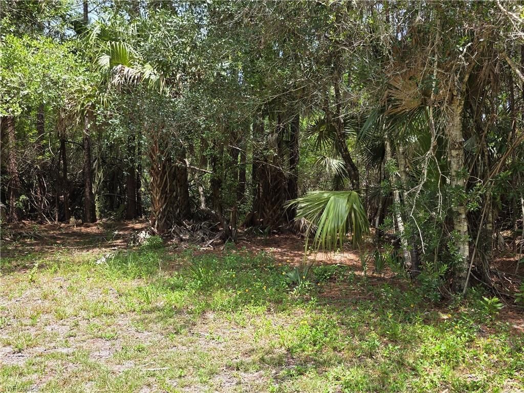4756 Skates Cir, Fort Myers, FL 33905 Photo