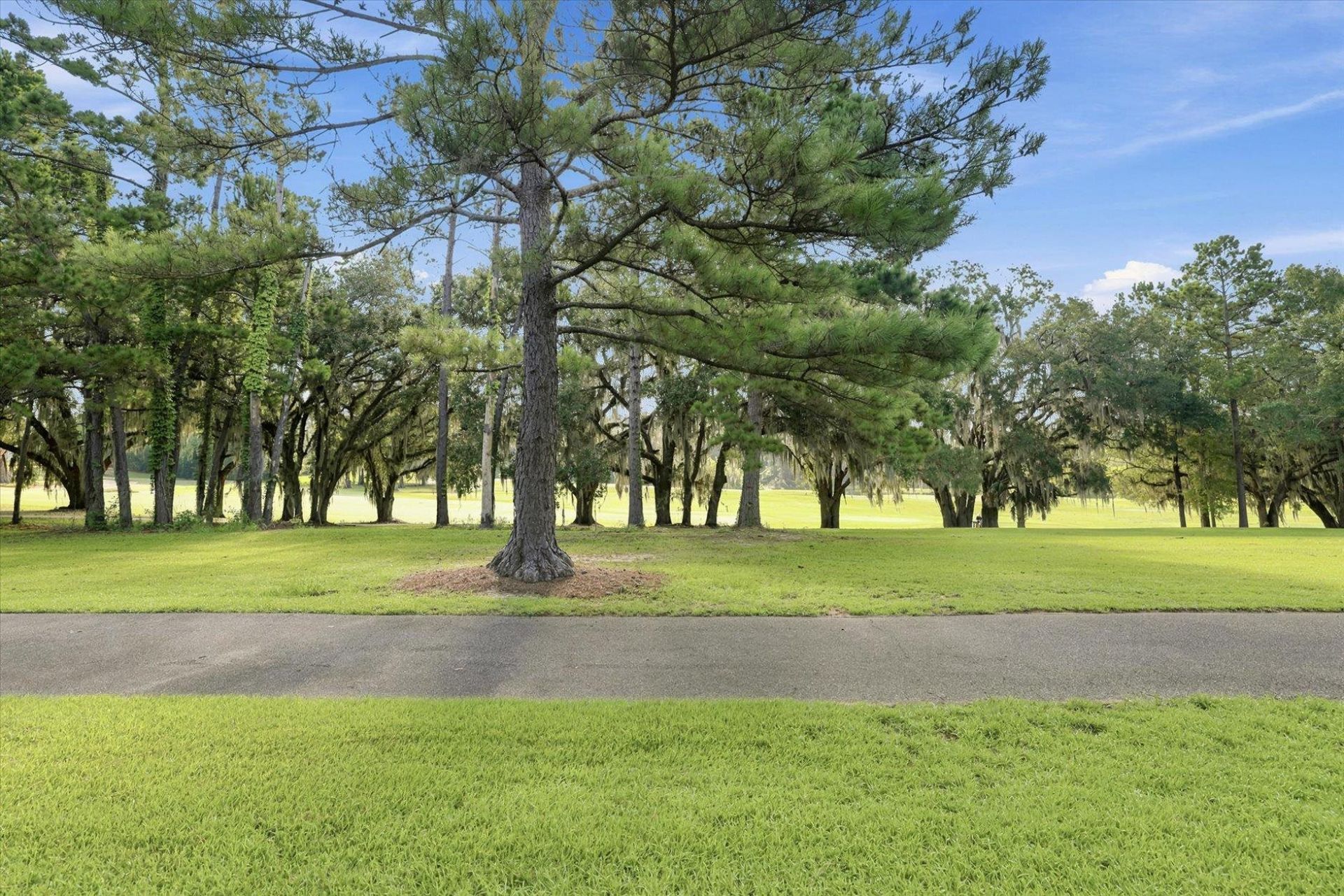 3537 Esplanade Way , Tallahassee, FL 32311 Photo