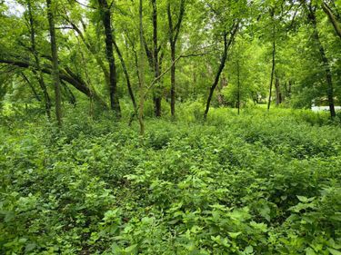 tbd NE 4th St , Glenwood, MN 56334