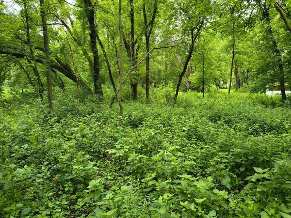 tbd NE 4th St , Glenwood, MN 56334