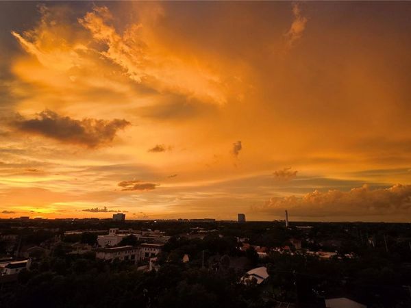 3211 W SWANN AVENUE , Unit 1110, TAMPA, FL 33609