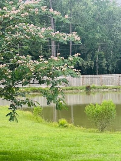 1347 Wishbone Road, Cantonment, FL 32533 Photo