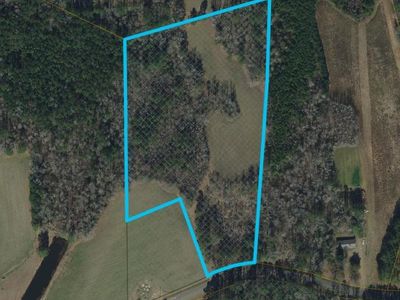 TBD Long Branch Swamp Rd., Nichols, SC 29581