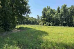Tbd Long Branch Swamp Rd. photo 4