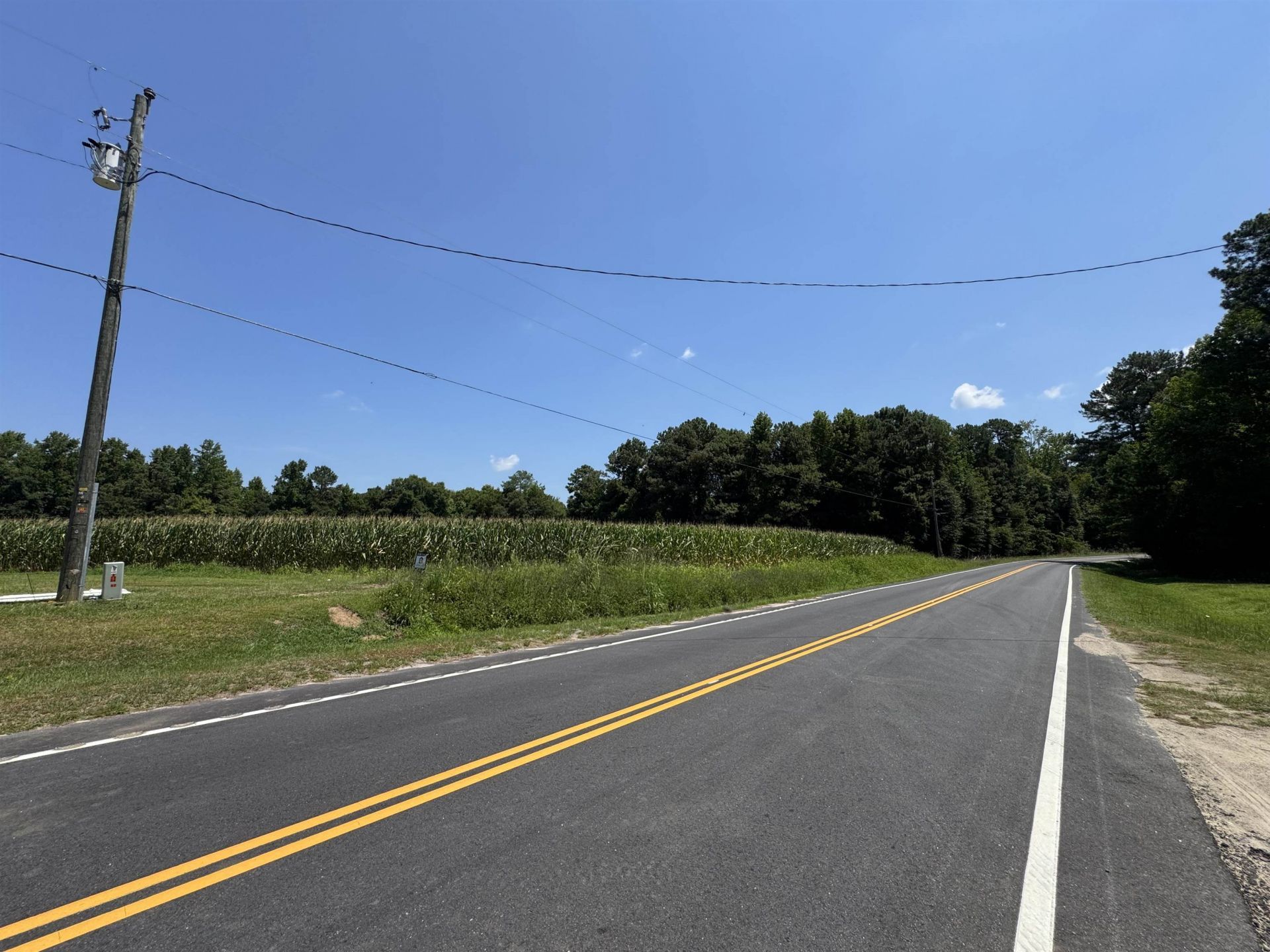 Tbd Long Branch Swamp Rd. Photo 4