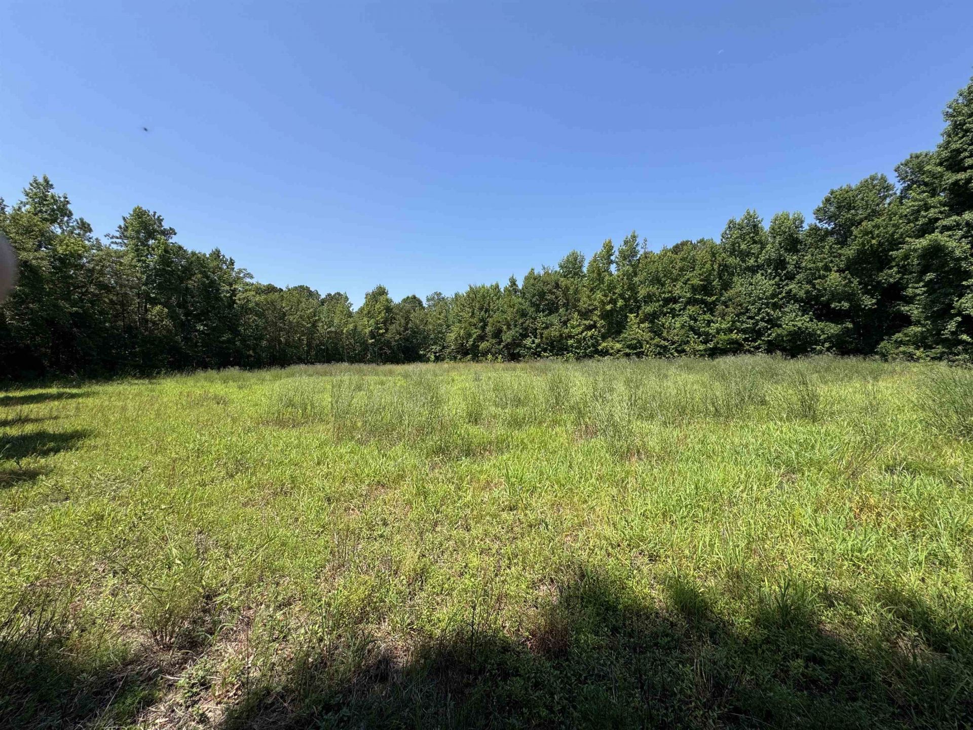 Tbd Long Branch Swamp Rd. Photo 5