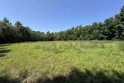 Tbd Long Branch Swamp Rd. photo 4