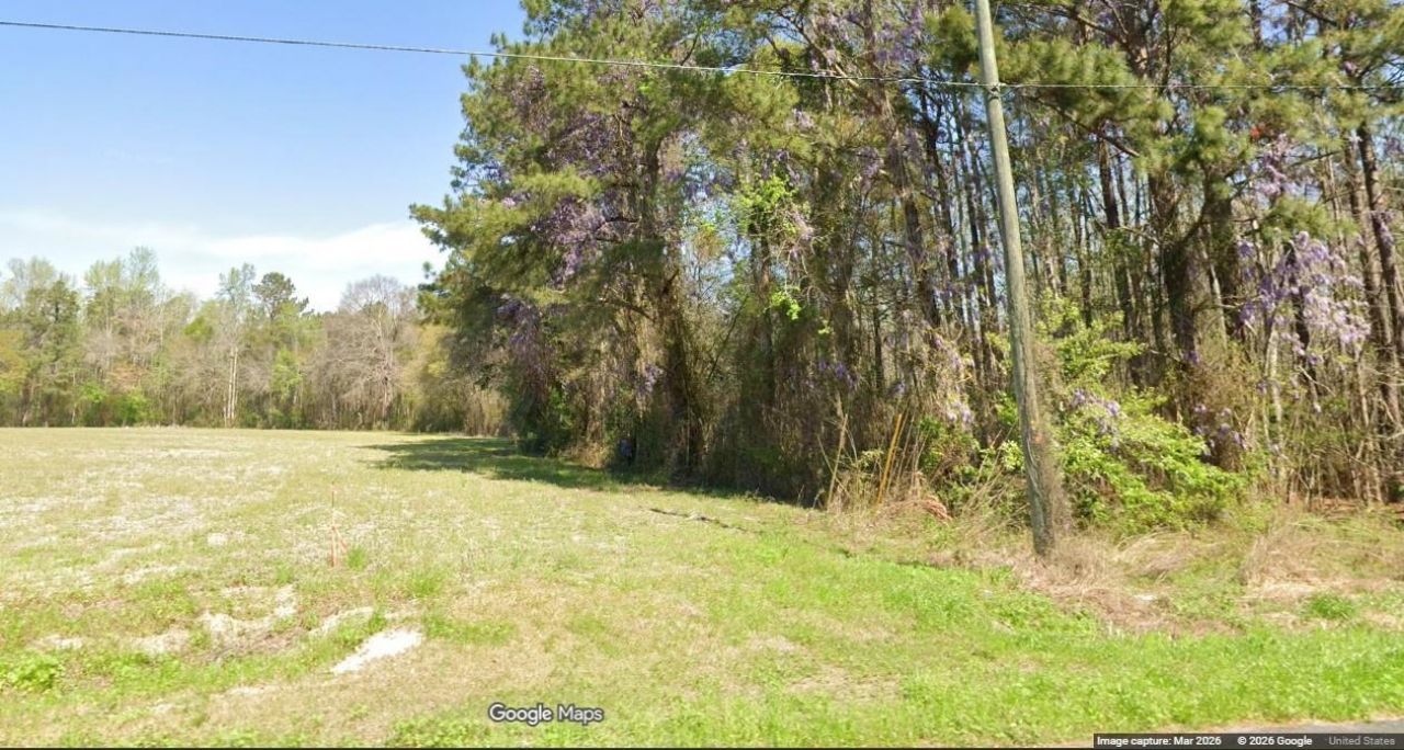 Tbd Long Branch Swamp Rd. Photo 7