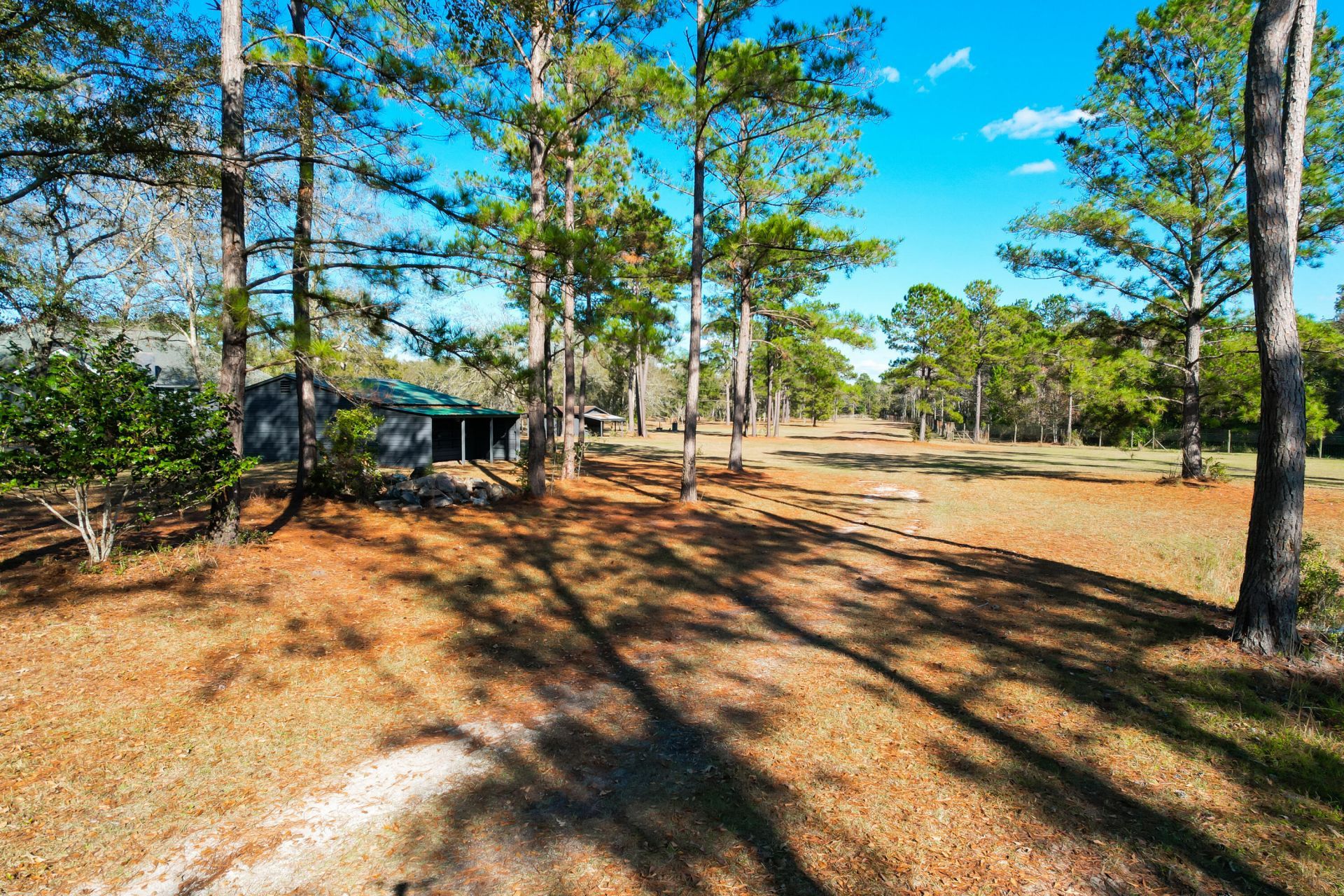 6615 Old Jacksonboro Road Photo 56