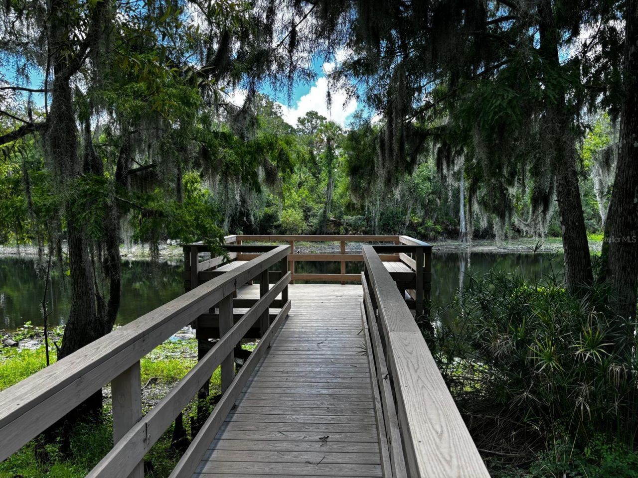 11502 Robles Del Rio Place , Temple Terrace, FL 33617 Photo