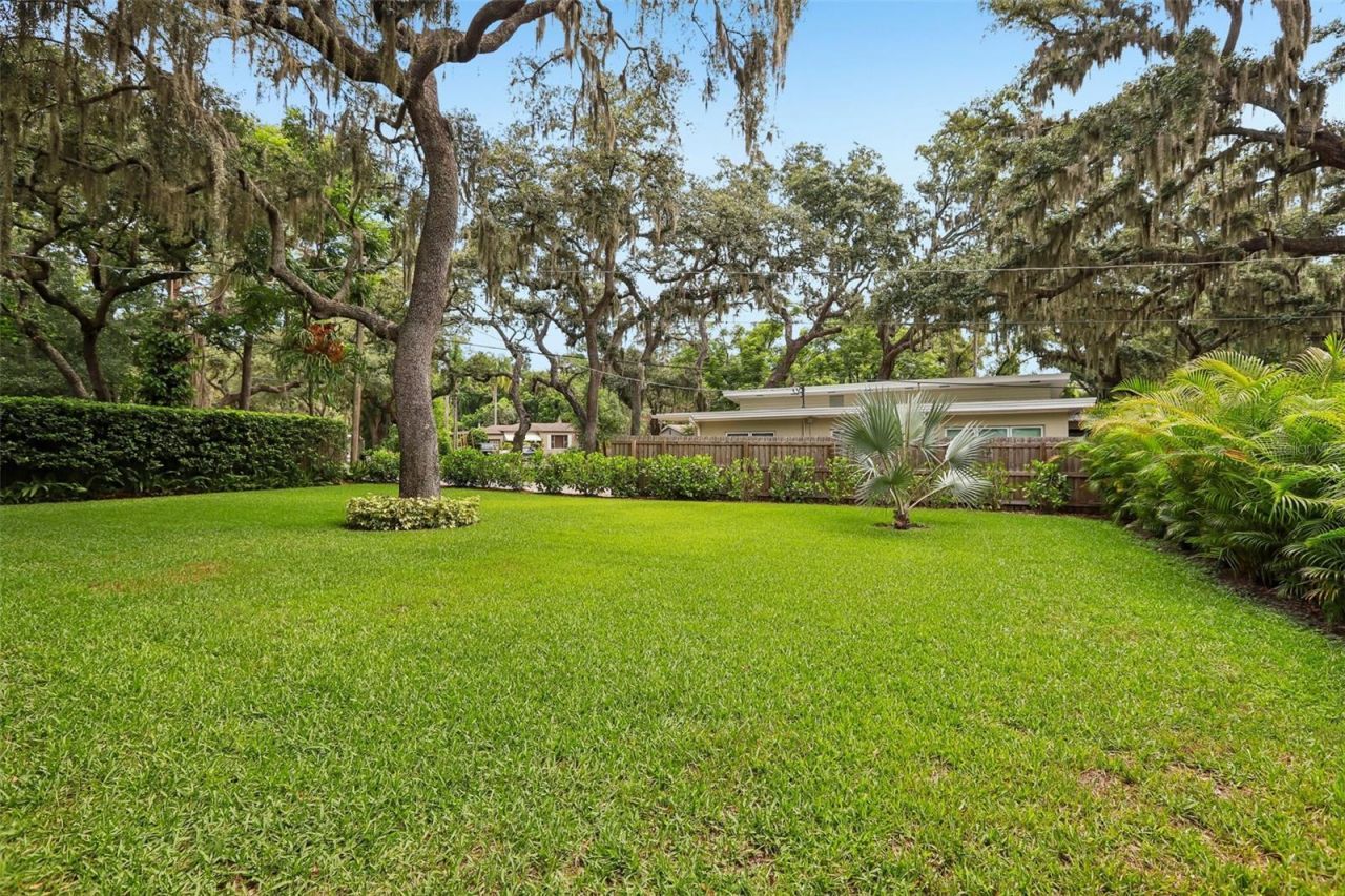 204 S Burlingame Avenue, Temple Terrace, FL 33617 Photo