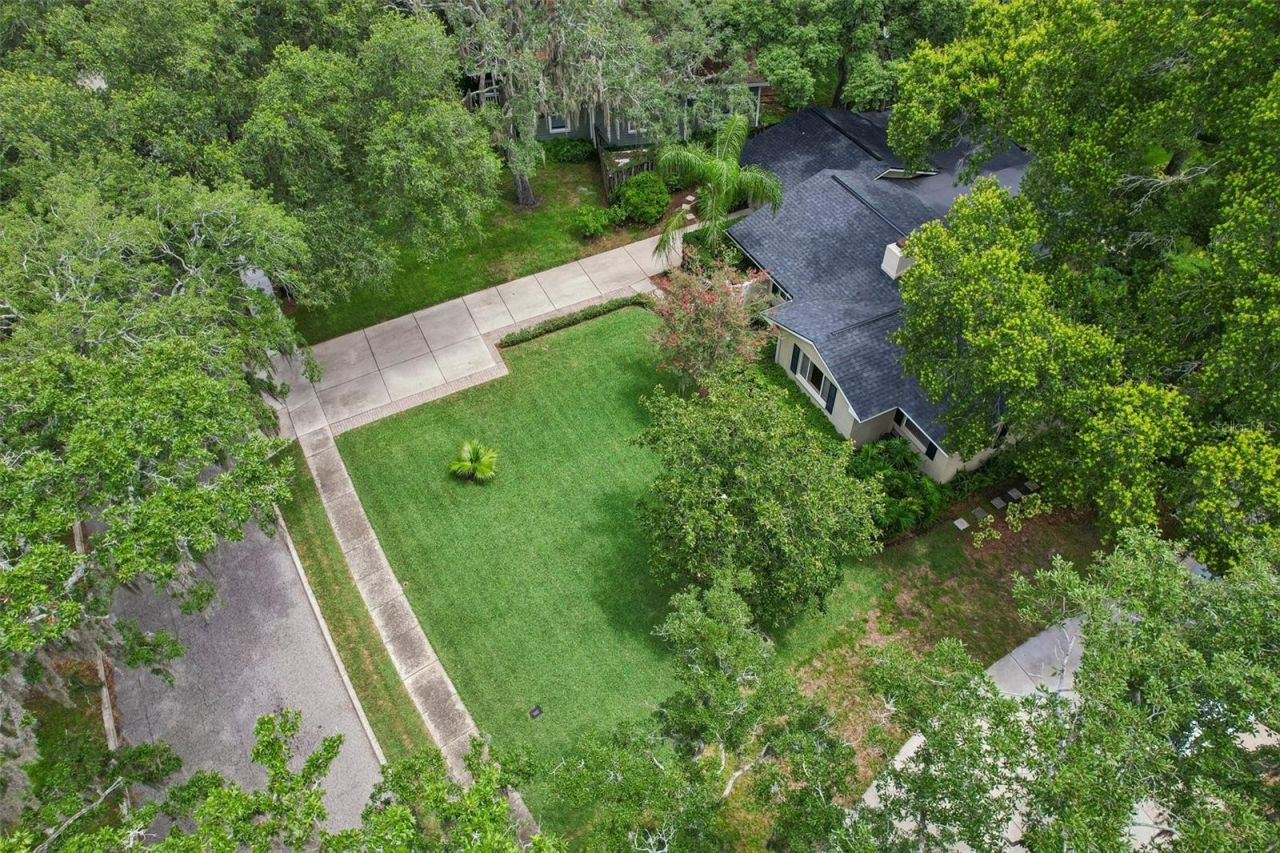 204 S Burlingame Avenue, Temple Terrace, FL 33617 Photo