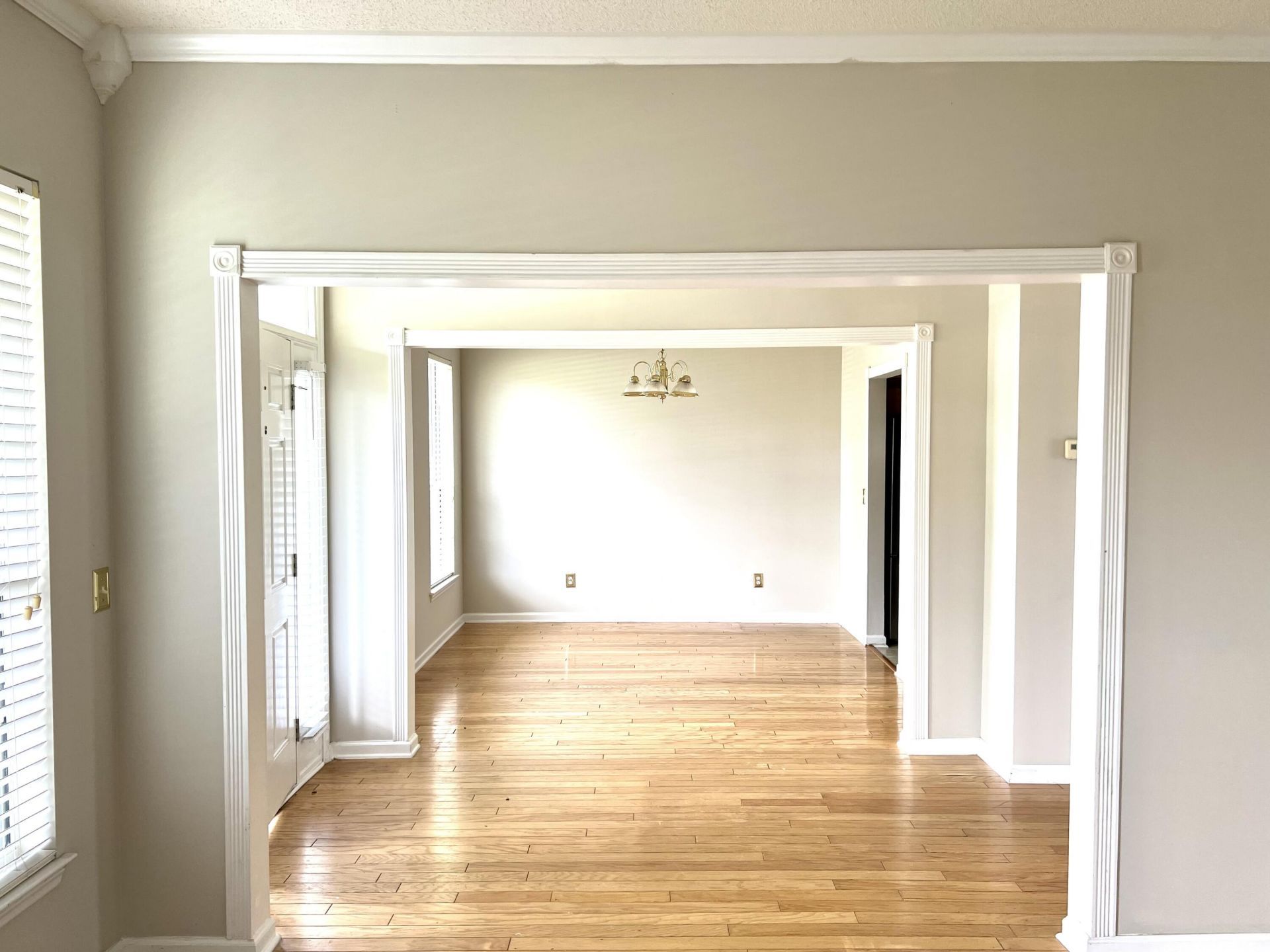 113 Britton Lane Photo 11