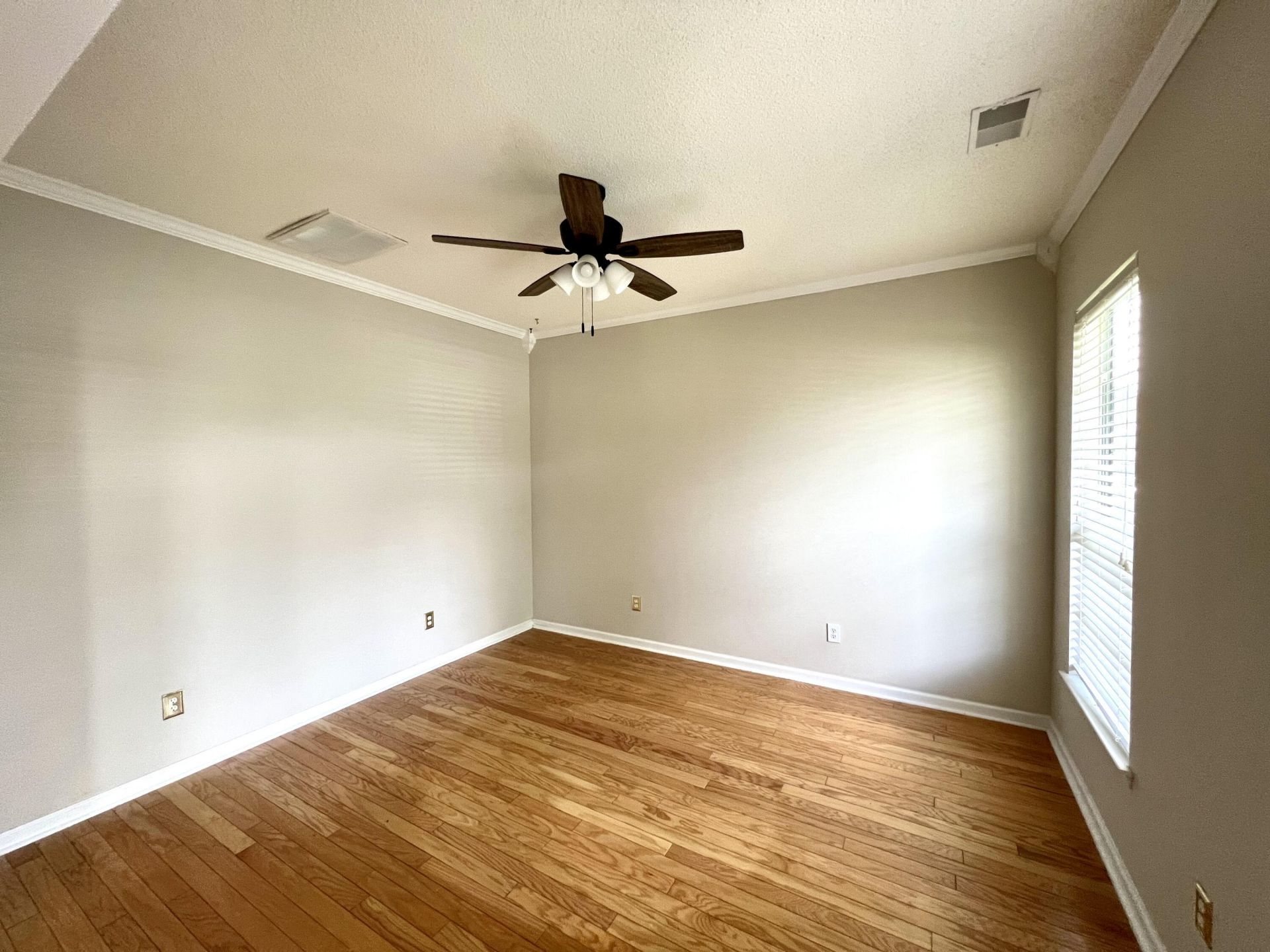113 Britton Lane Photo 12