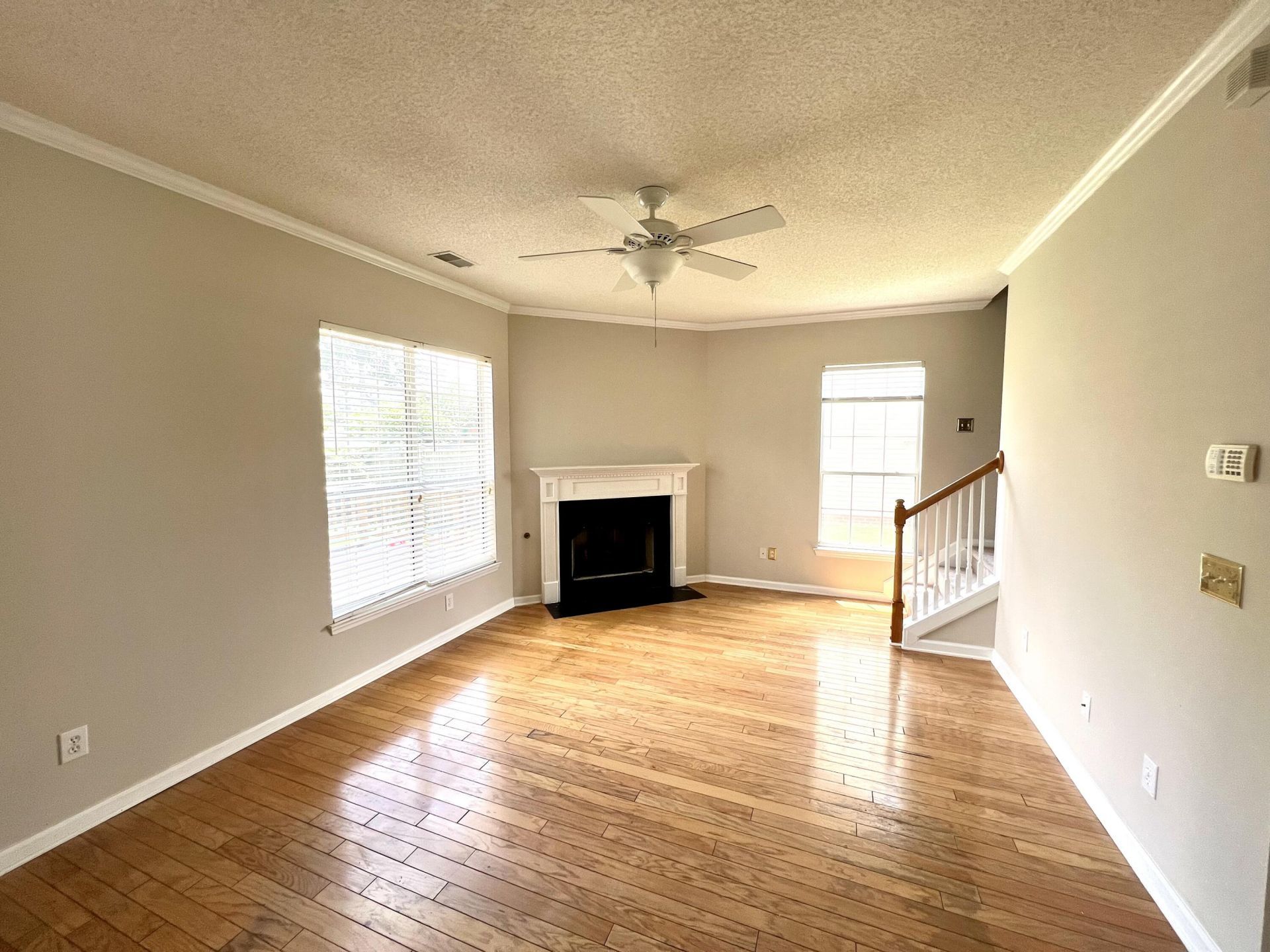 113 Britton Lane Photo 13