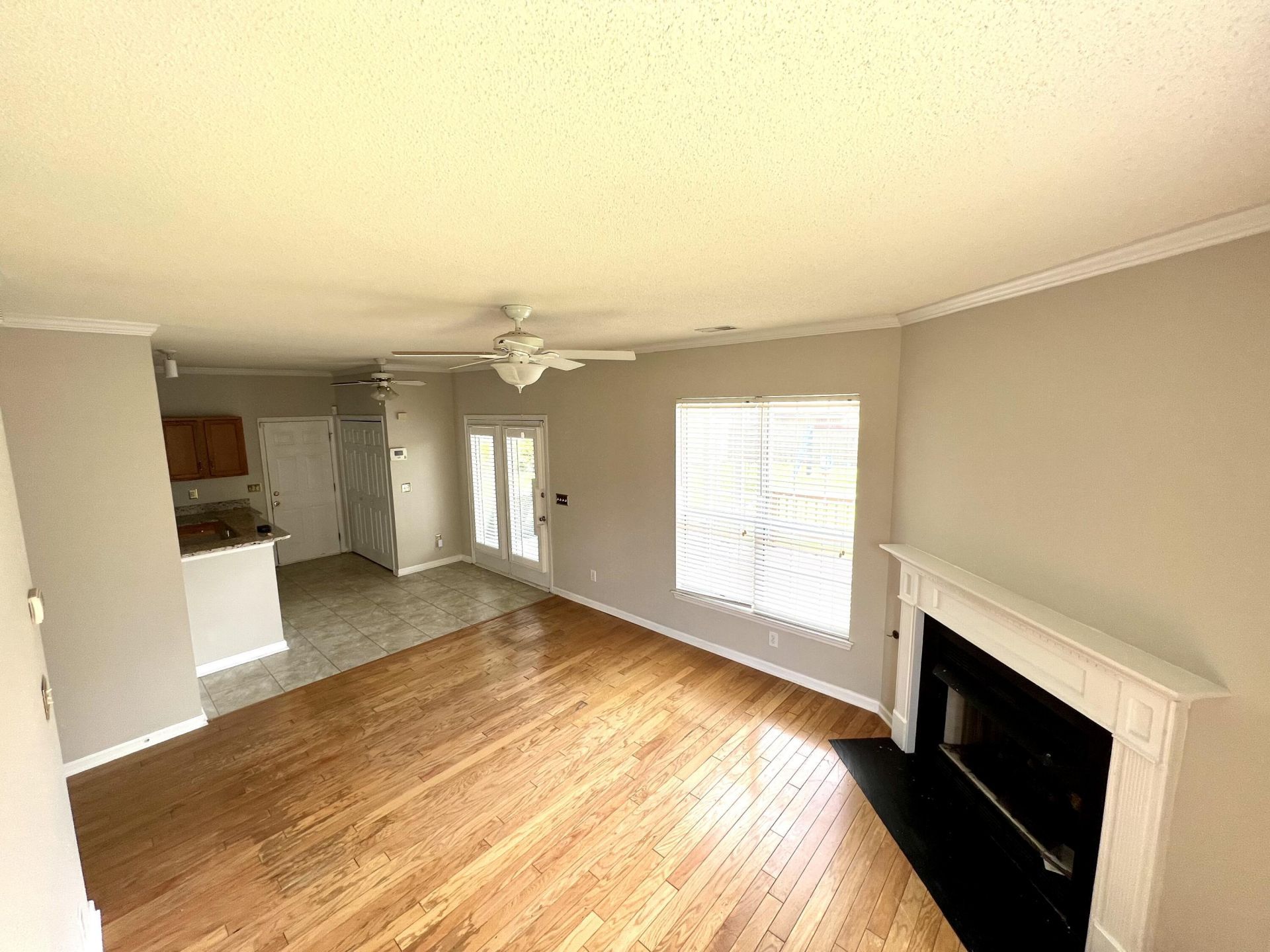 113 Britton Lane Photo 14