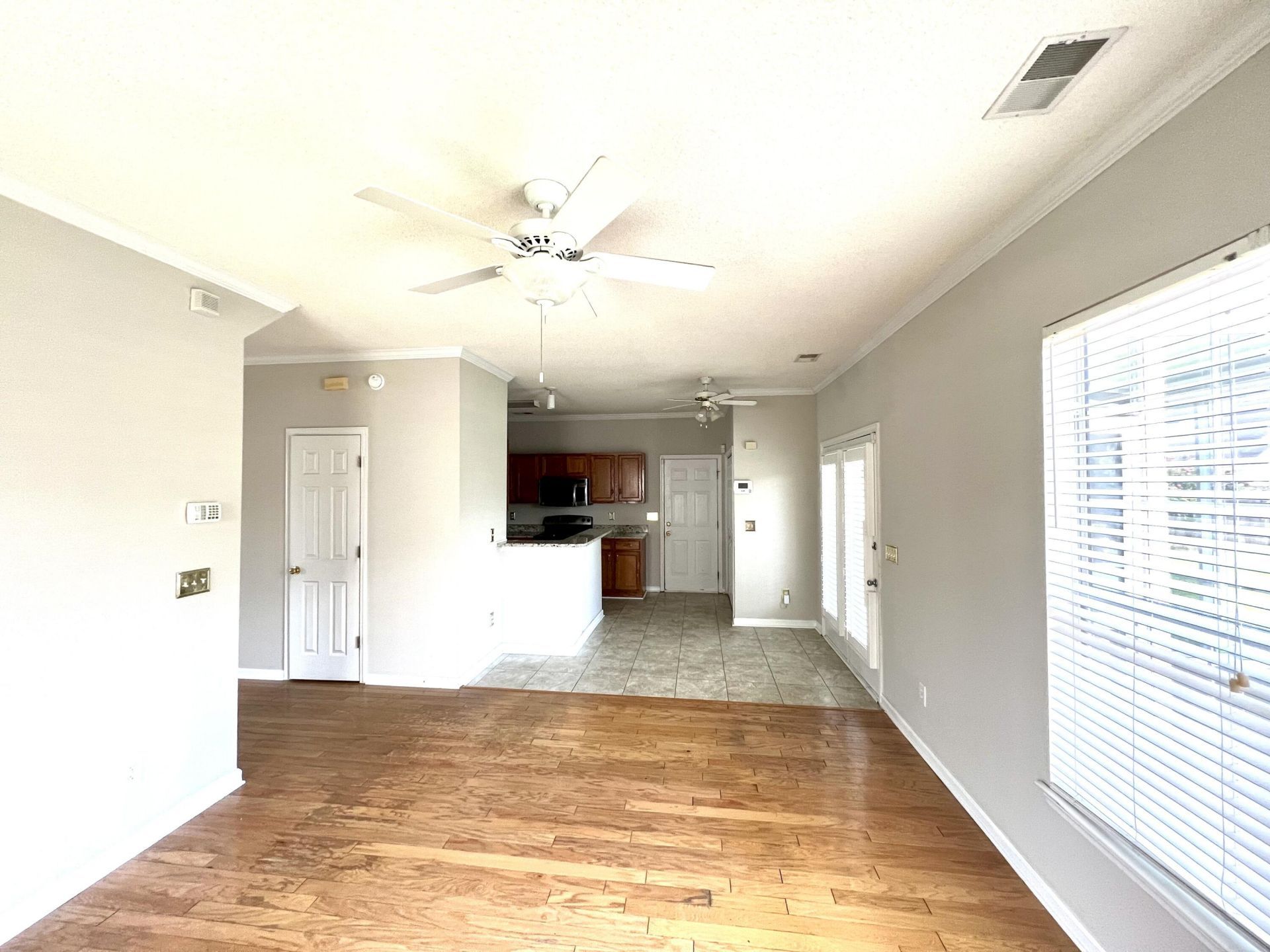 113 Britton Lane Photo 15