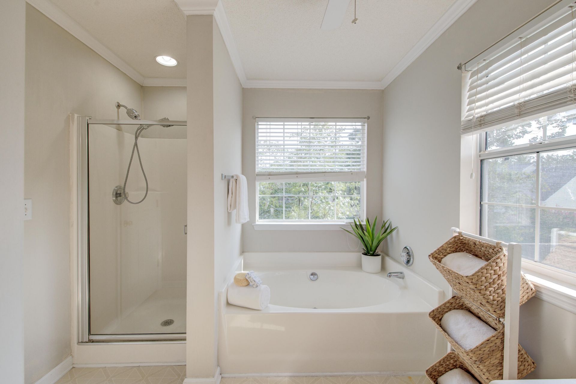 113 Britton Lane Photo 18