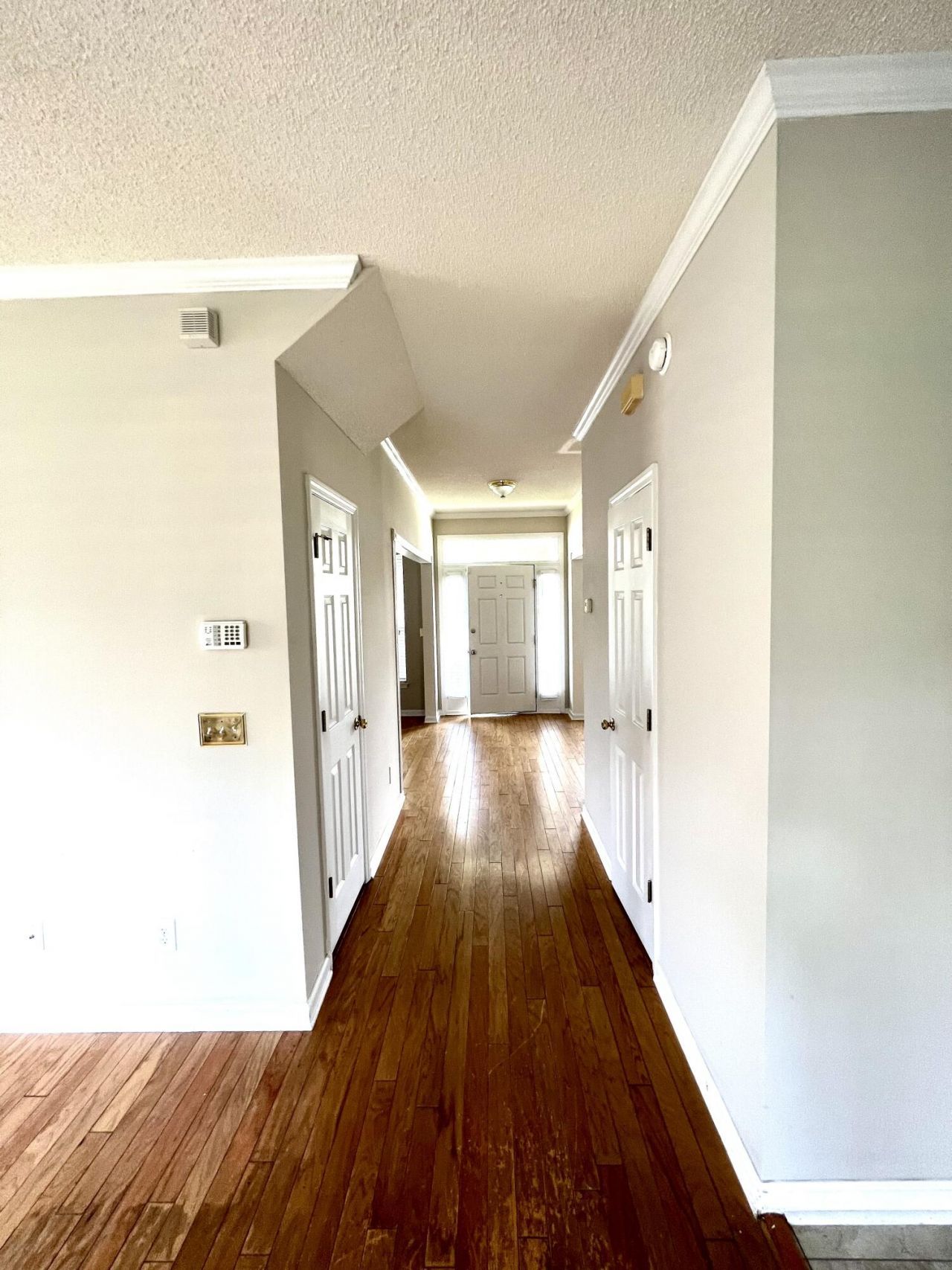 113 Britton Lane Photo 18