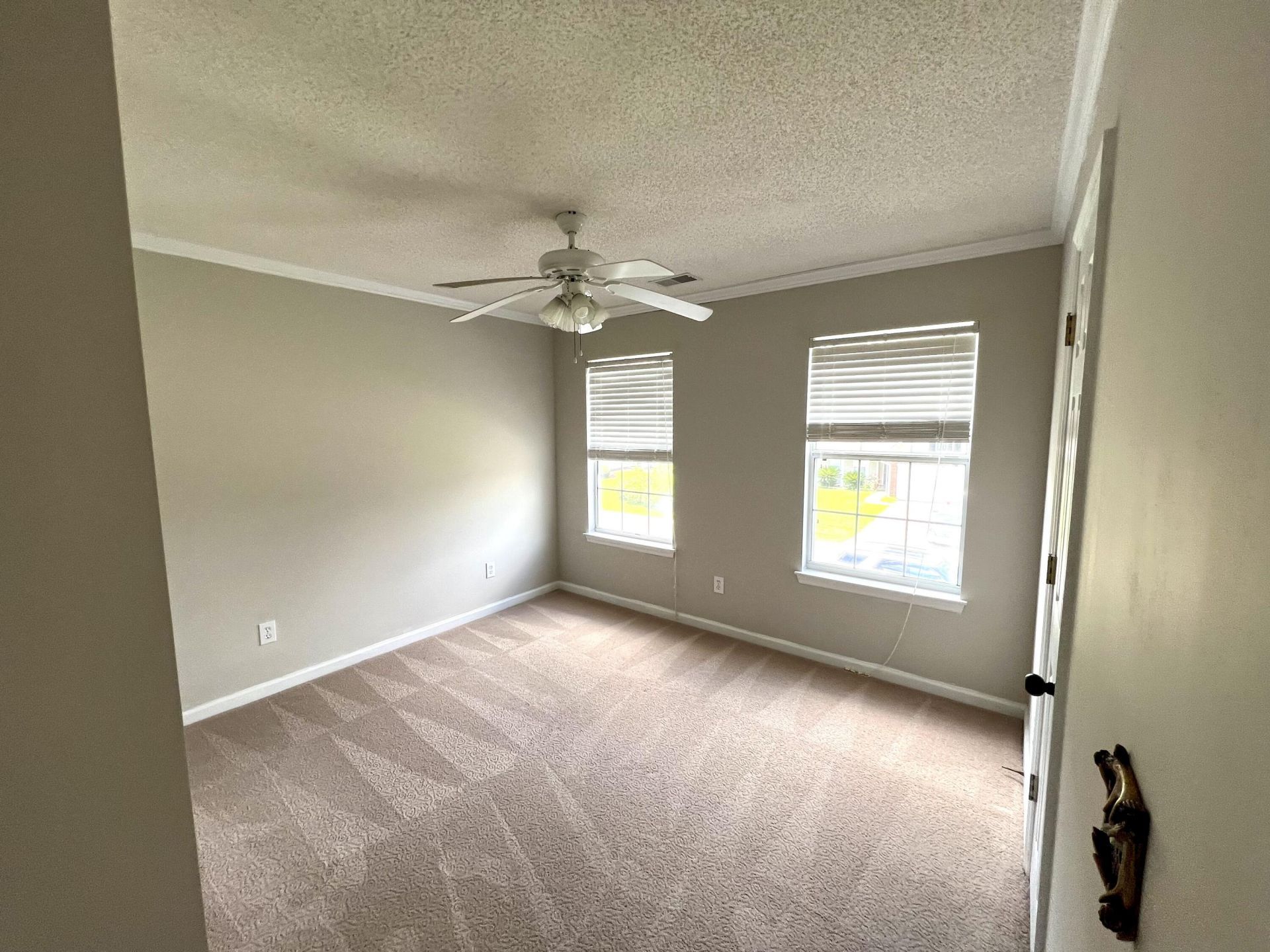 113 Britton Lane Photo 19