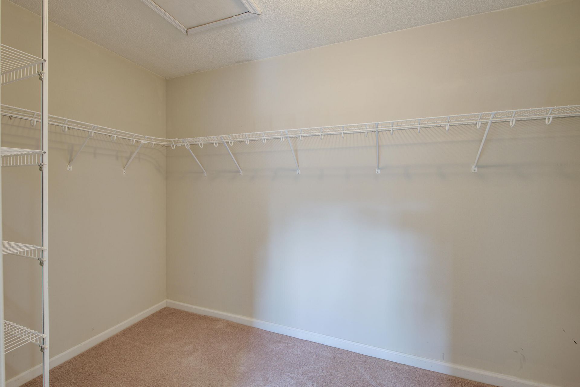 113 Britton Lane Photo 20