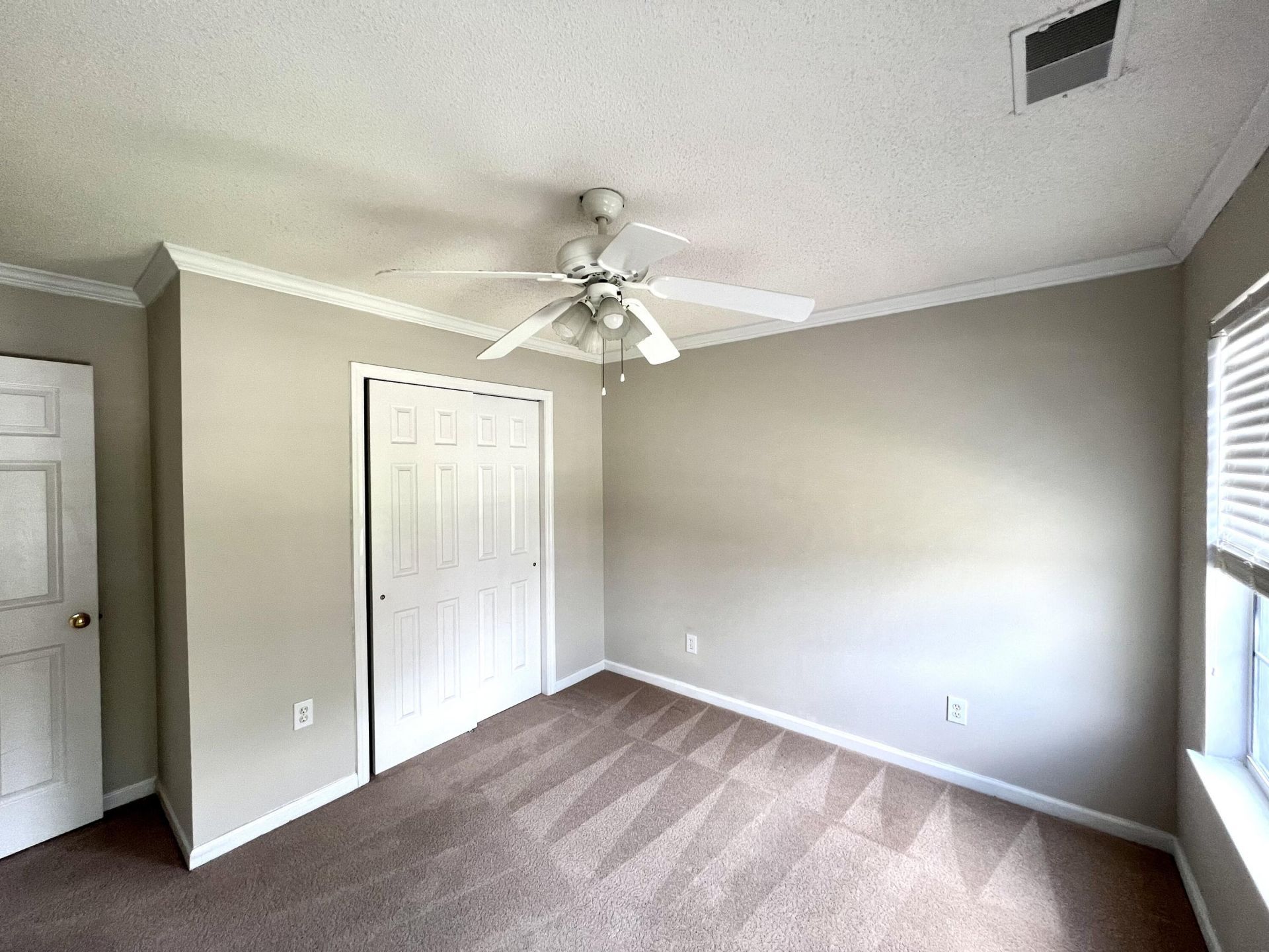 113 Britton Lane Photo 20