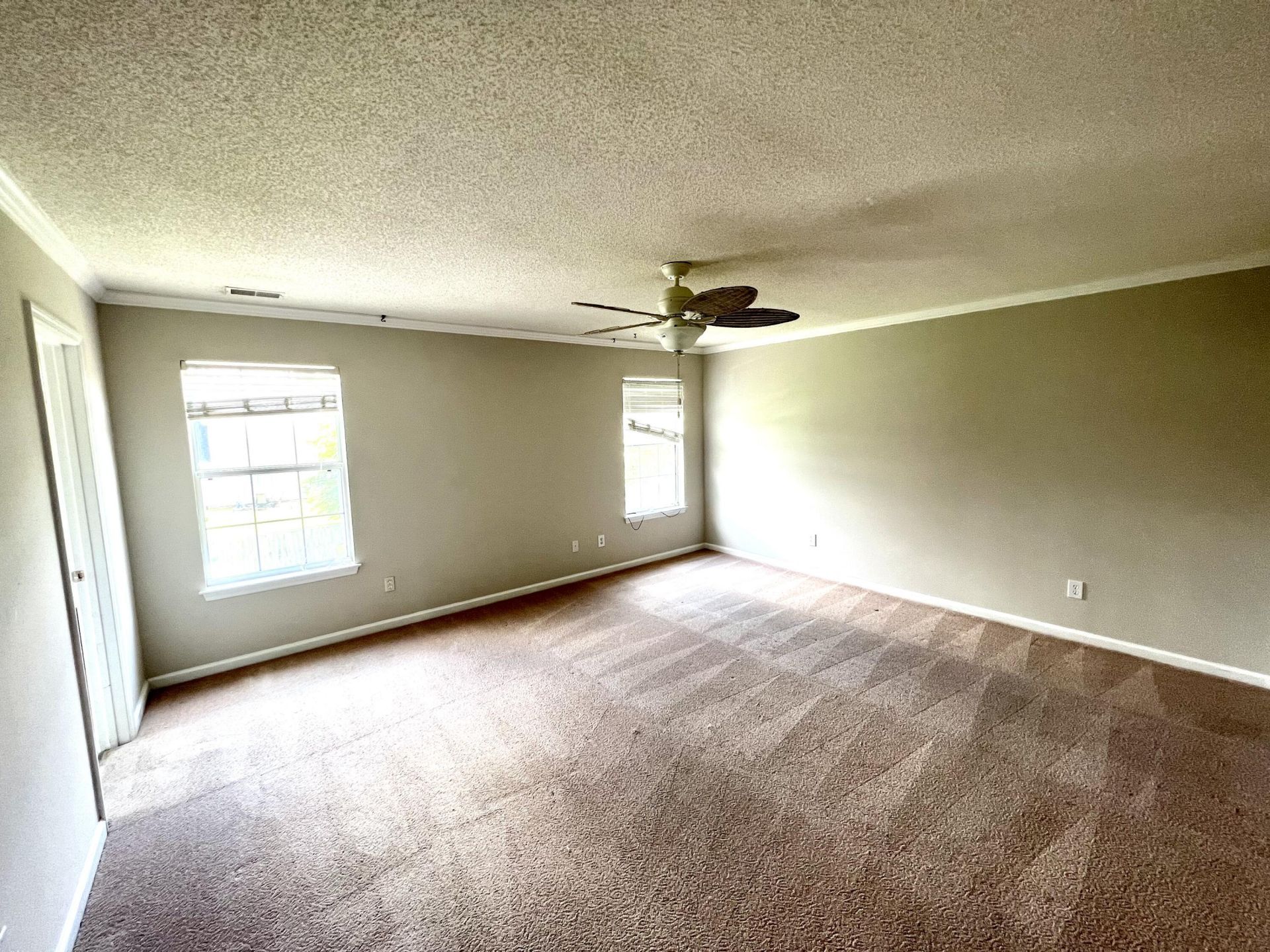113 Britton Lane Photo 21