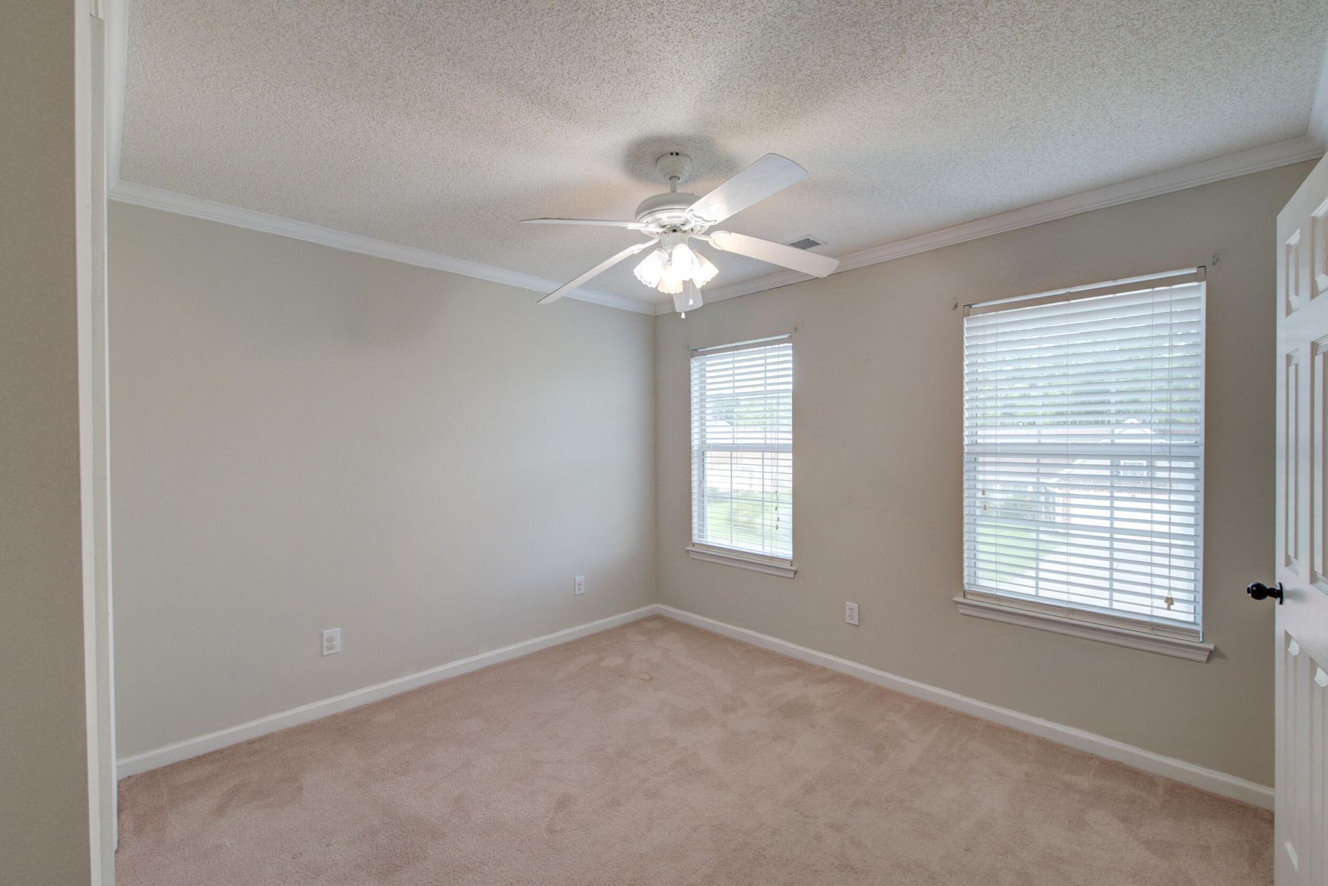 113 Britton Lane Photo 22