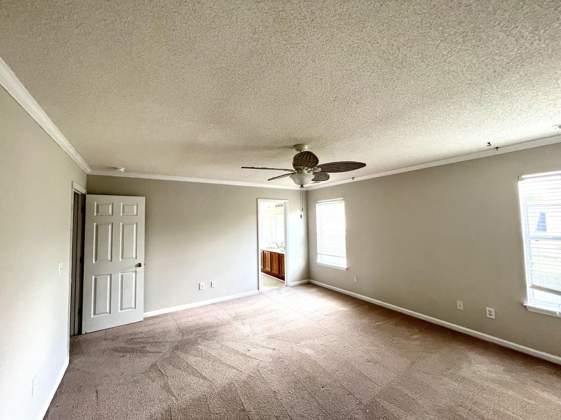 113 Britton Lane Photo 22