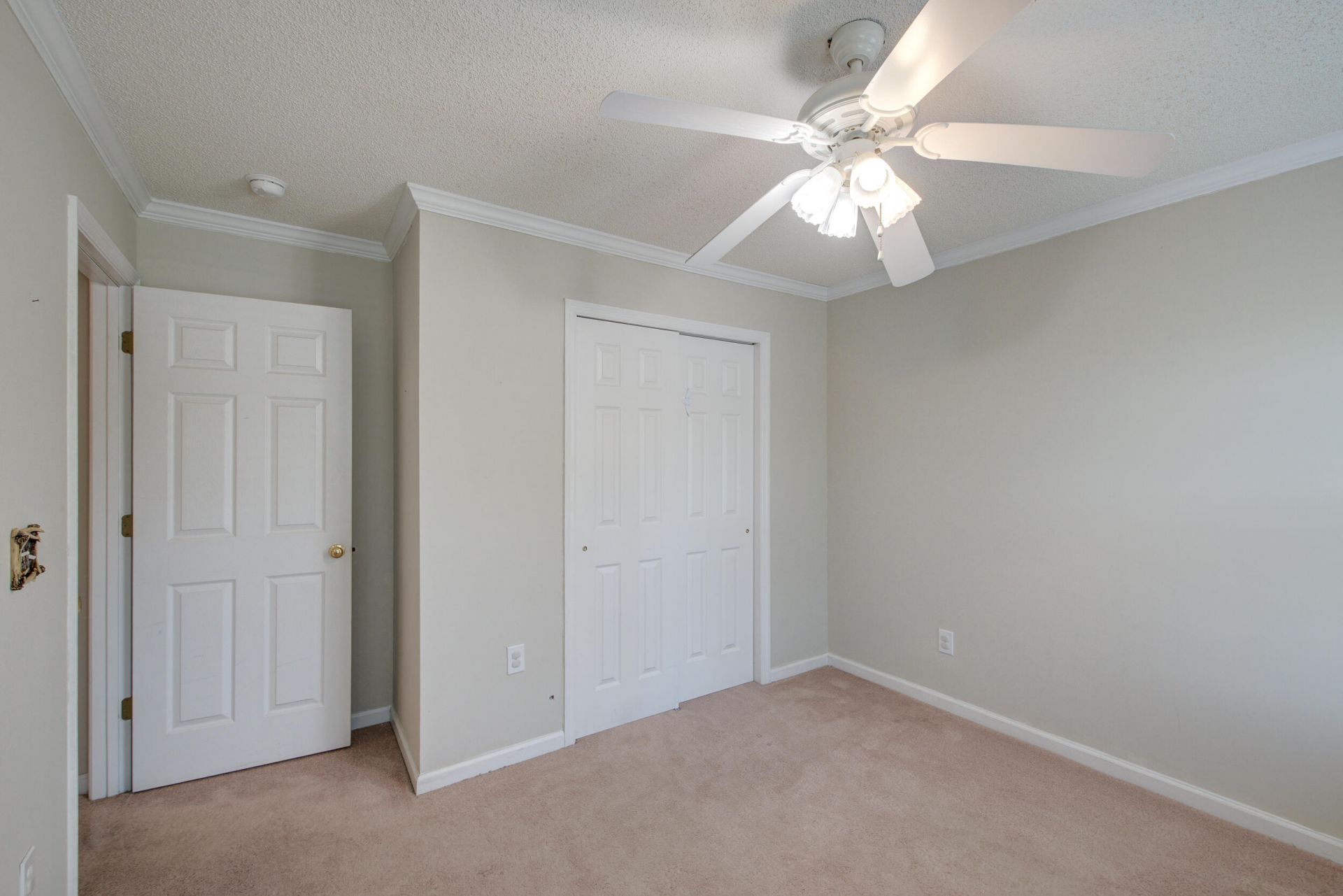 113 Britton Lane Photo 24