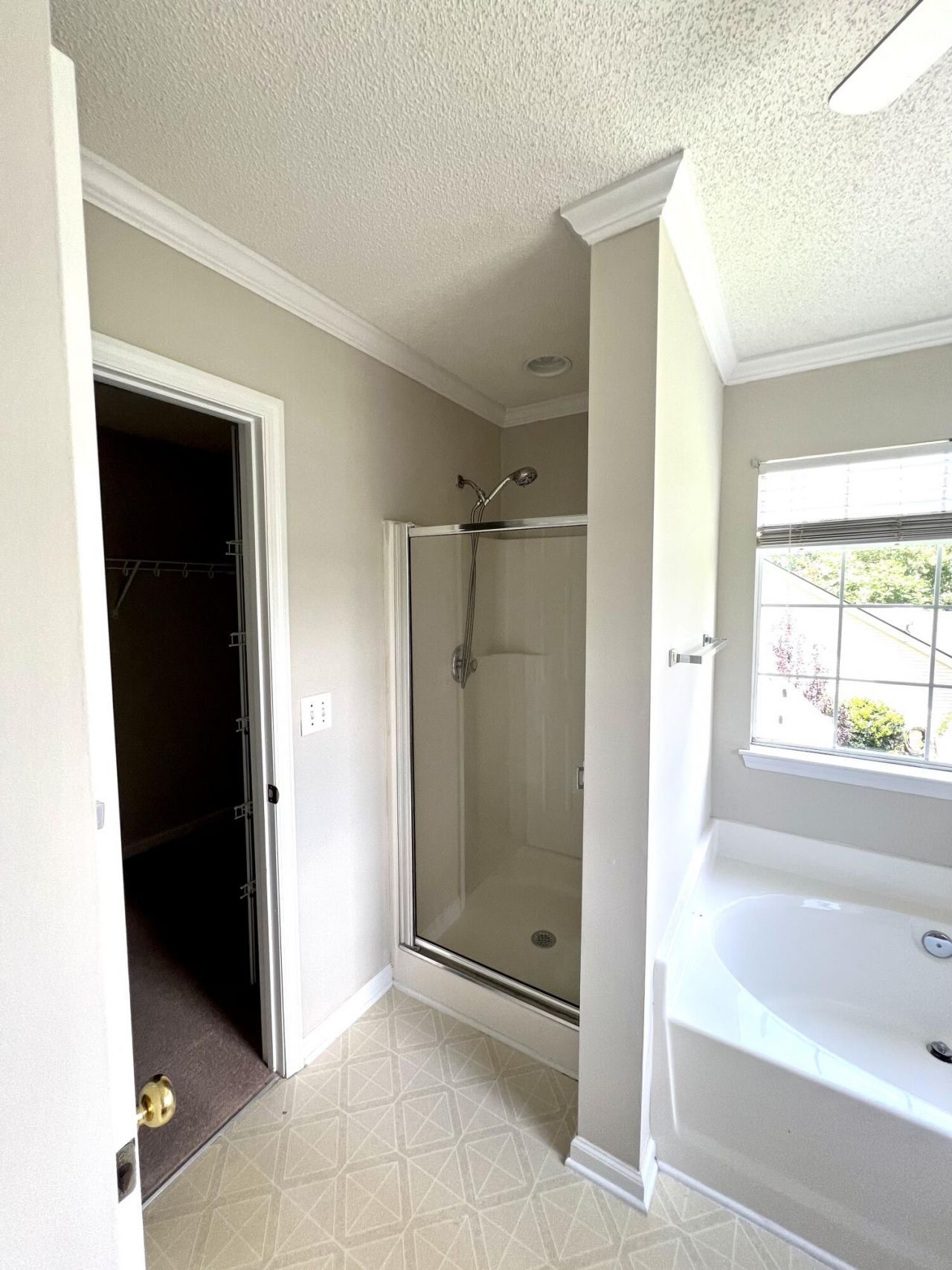 113 Britton Lane Photo 24