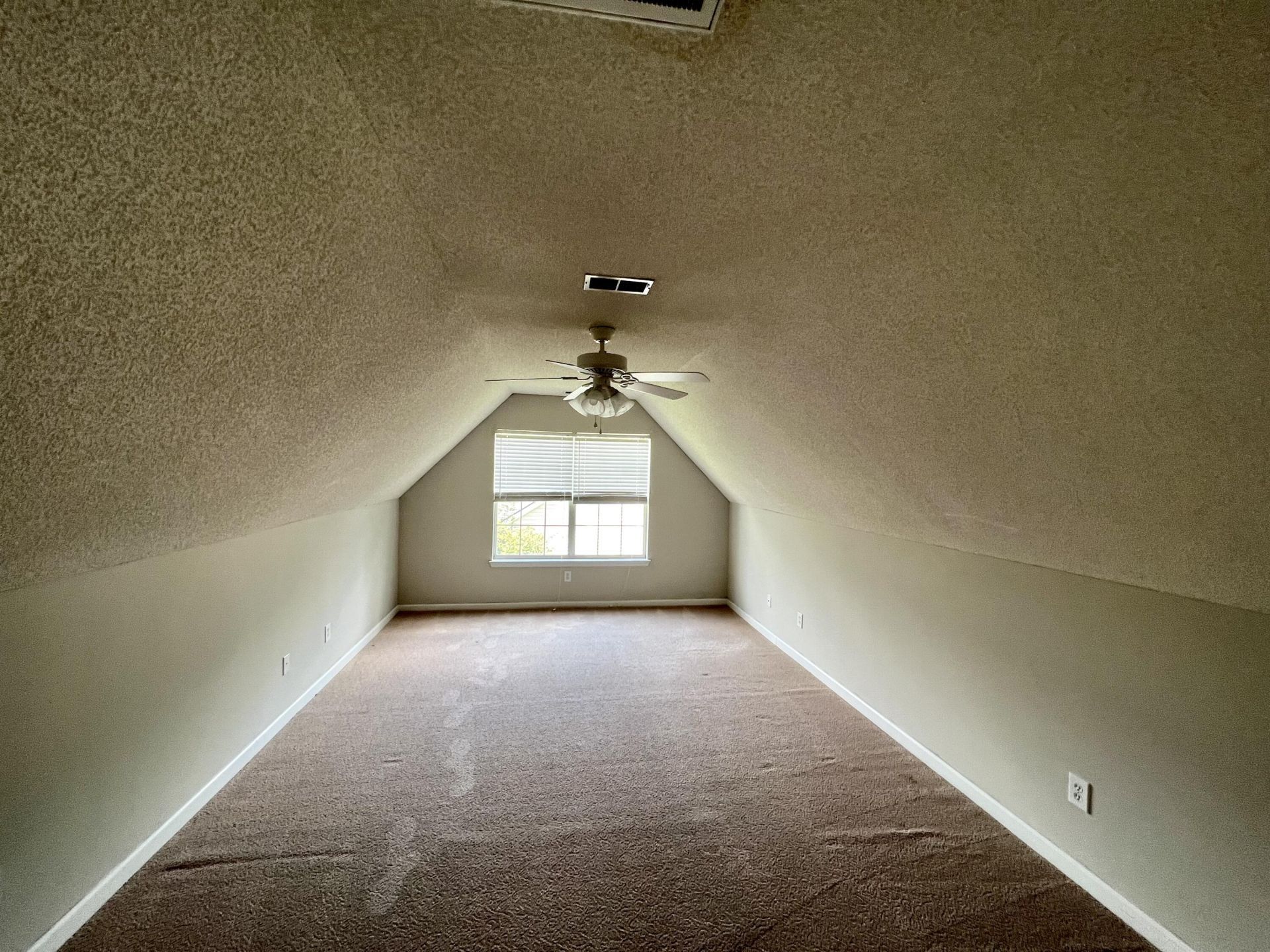 113 Britton Lane Photo 25