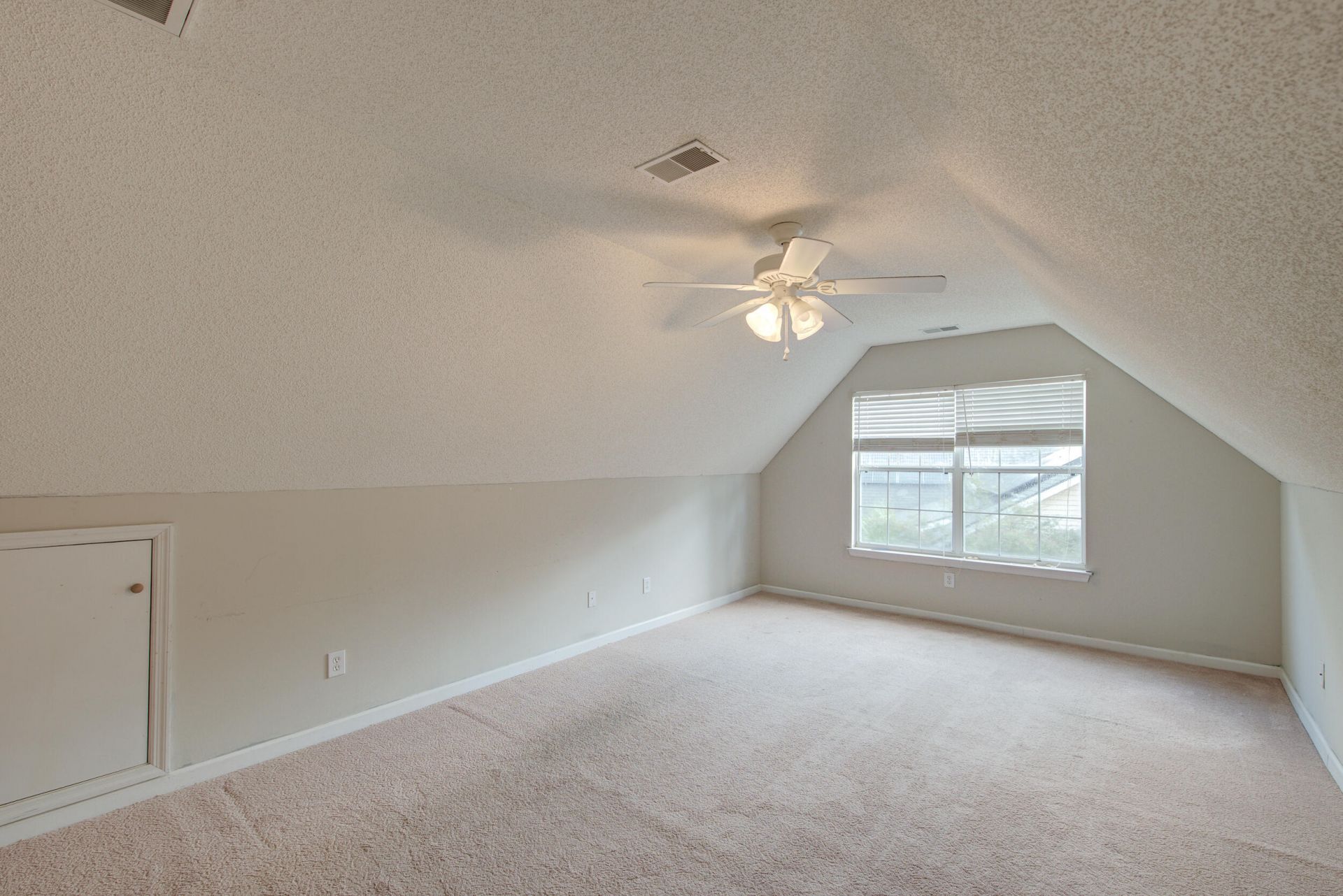 113 Britton Lane Photo 31