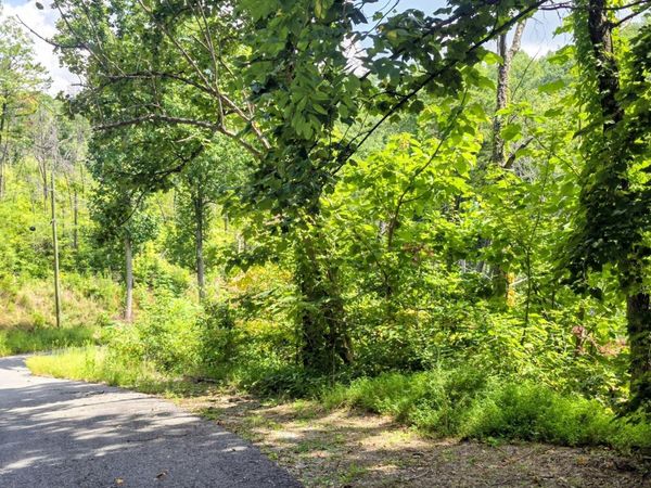 Lot 14 Sugar Maple Loop Rd, Sevierville, TN 37862