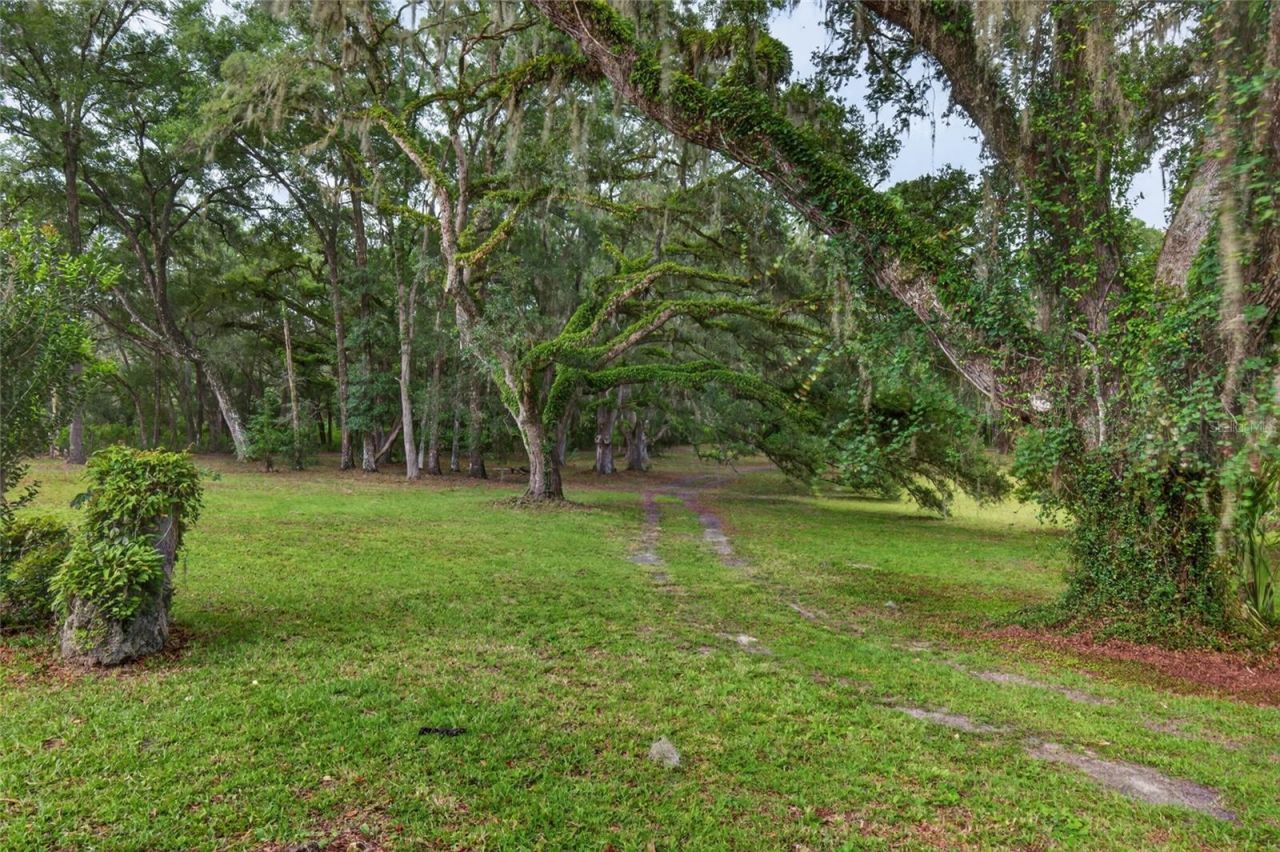 11795 SW Highway 484, Dunnellon, FL 34432 Photo