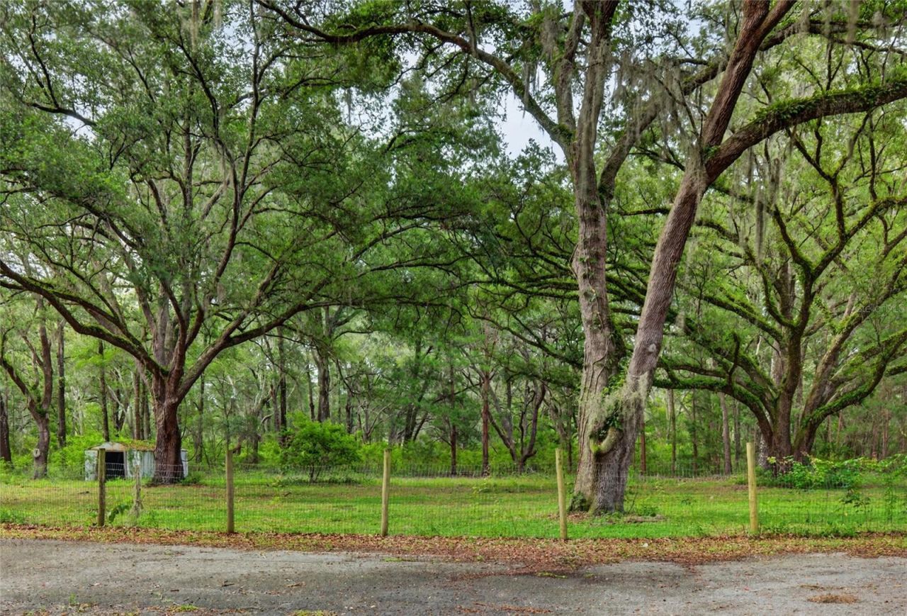 11795 SW Highway 484, Dunnellon, FL 34432 Photo