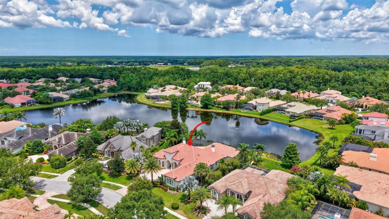14742 Waterchase Boulevard, Tampa, FL 33626 Photo