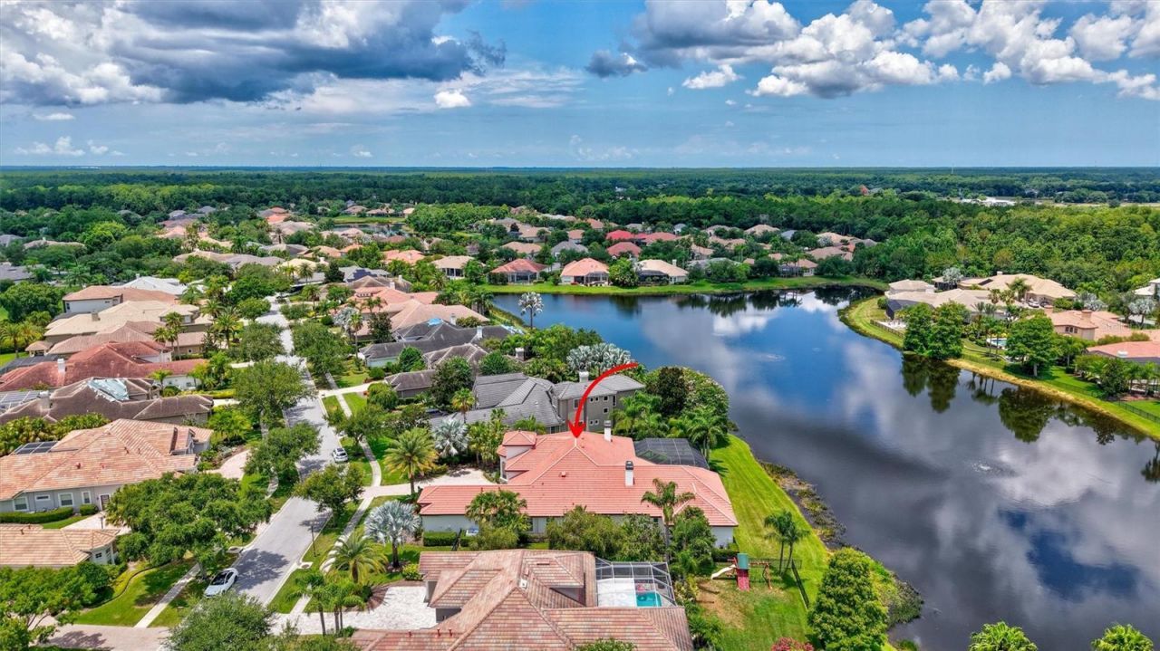 14742 Waterchase Boulevard, Tampa, FL 33626 Photo