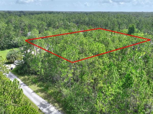28 & 30 AMARYLLIS DRIVE , INDIAN LAKE ESTATES, FL 33855