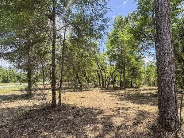 NE 75th St, Williston, FL 32696