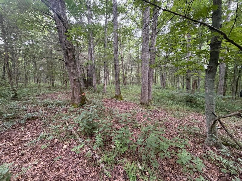 17883 State Route 41 , West Union, OH 45693 Photo 22