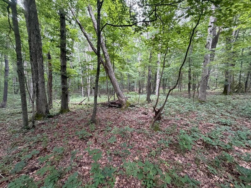 17883 State Route 41 , West Union, OH 45693 Photo 25