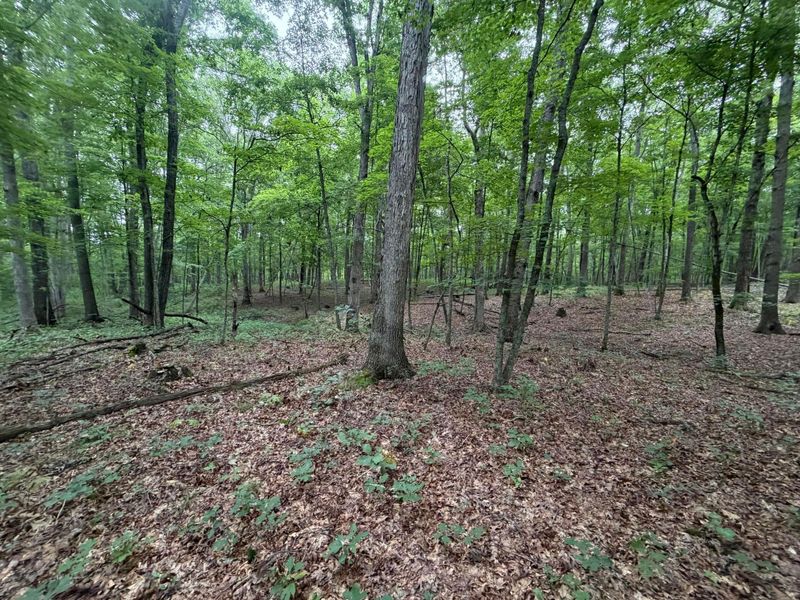 17883 State Route 41 , West Union, OH 45693 Photo 29