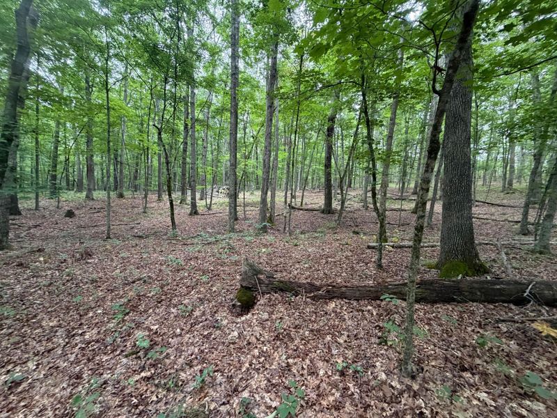 17883 State Route 41 , West Union, OH 45693 Photo 30
