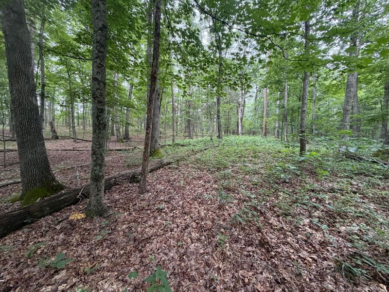 17883 State Route 41 , West Union, OH 45693 Photo 31