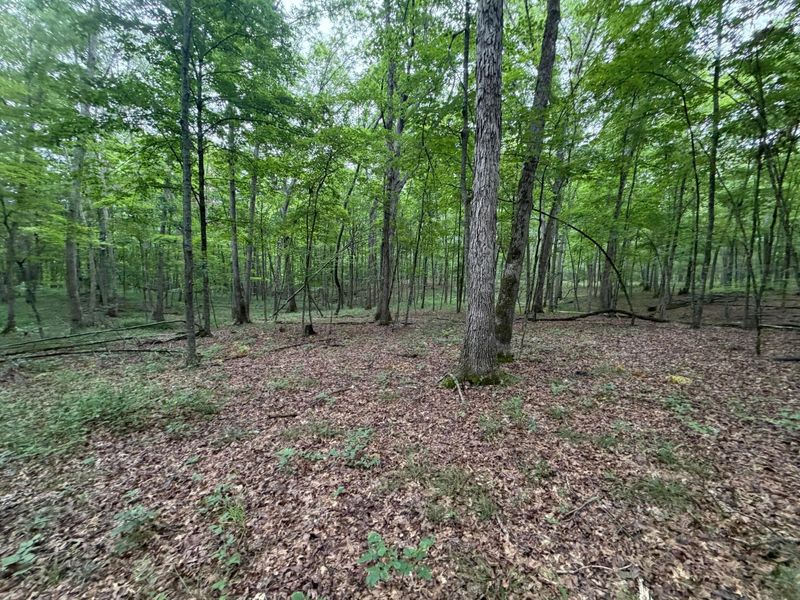 17883 State Route 41 , West Union, OH 45693 Photo 34