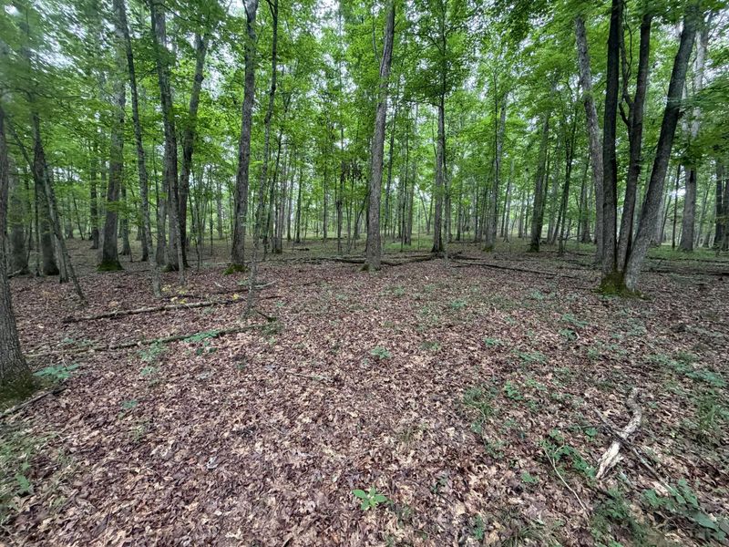 17883 State Route 41 , West Union, OH 45693 Photo 35