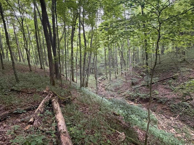 17883 State Route 41 , West Union, OH 45693 Photo 39